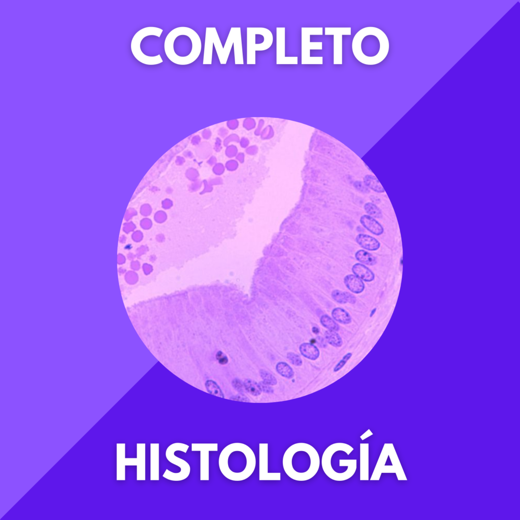 HistoCompletoThumb